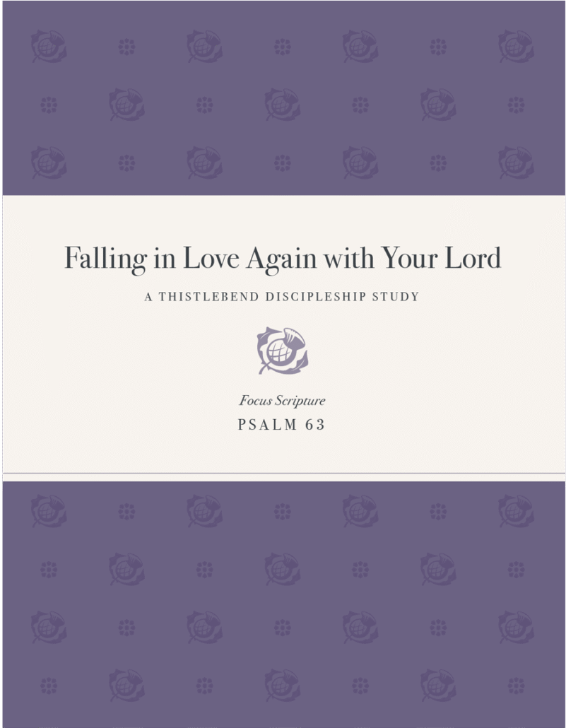 FALLING IN LOVE AGAIN WITH YOUR LORD BOOK COVER
