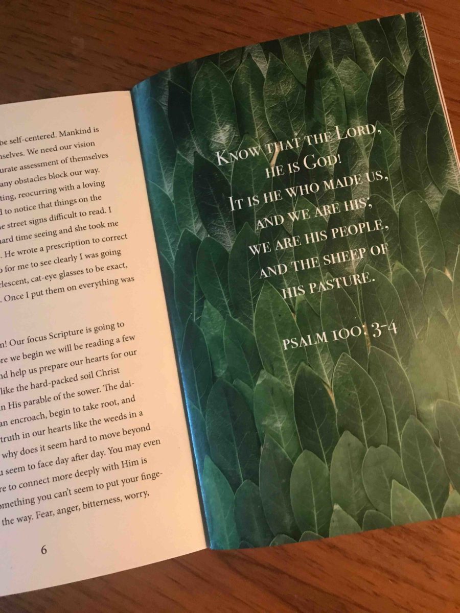WHO AM I? DEVOTIONAL JOURNAL - Image 7