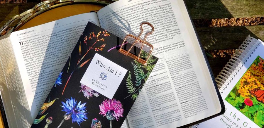 WHO AM I? DEVOTIONAL JOURNAL - Image 3