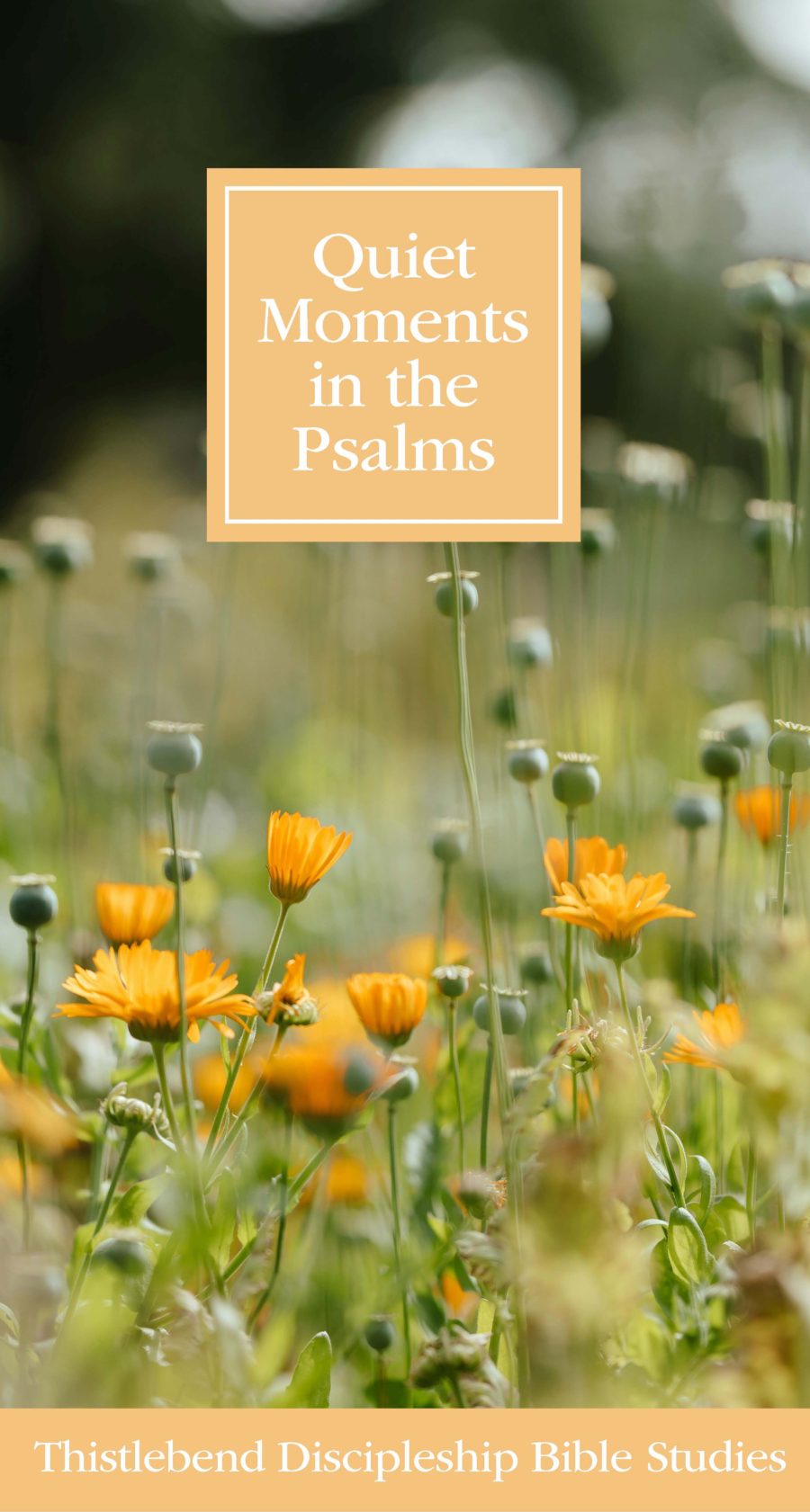QUIET MOMENTS IN THE PSALMS