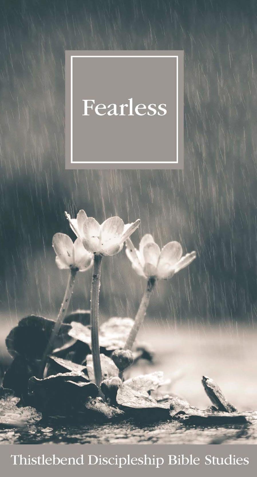 FEARLESS Cover