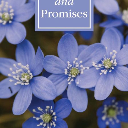 Pearls and Promises Cover
