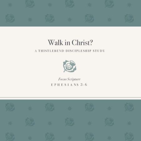 WALK IN CHRIST COVER