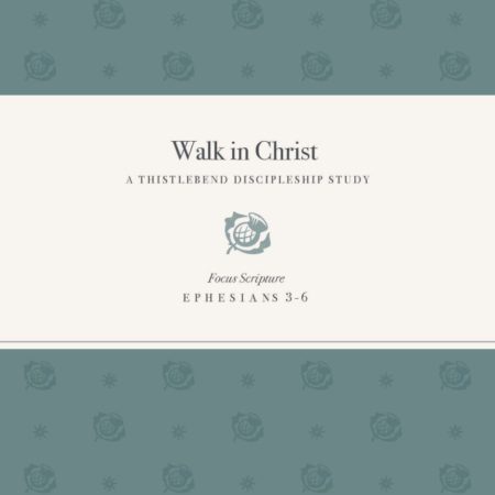 WALK IN CHRIST COVER